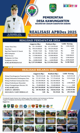 REALISASI APBDes TA 2025